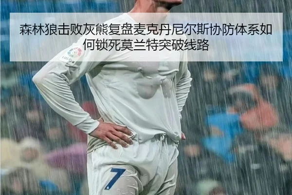 森林狼击败灰熊复盘麦克丹尼尔斯协防体系如何锁死莫兰特突破线路
